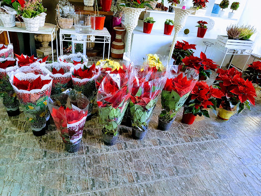 Floristería Ledicia