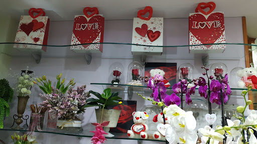 Floristería Toñi: Floristería en Almería
