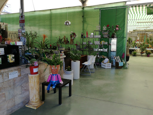 Centro de Jardinería Dos Gardenias SL