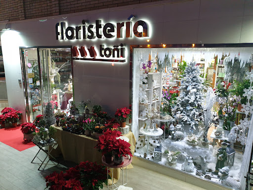 Floristería Toñi: Floristería en Almería