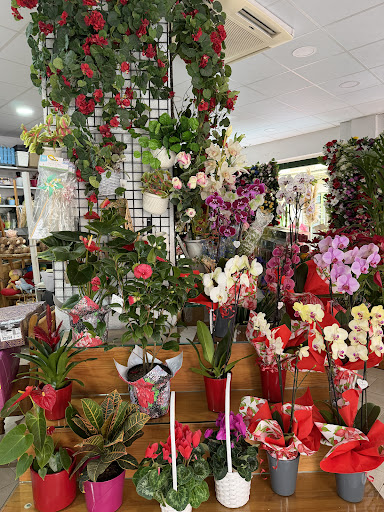 Floristería Carmona