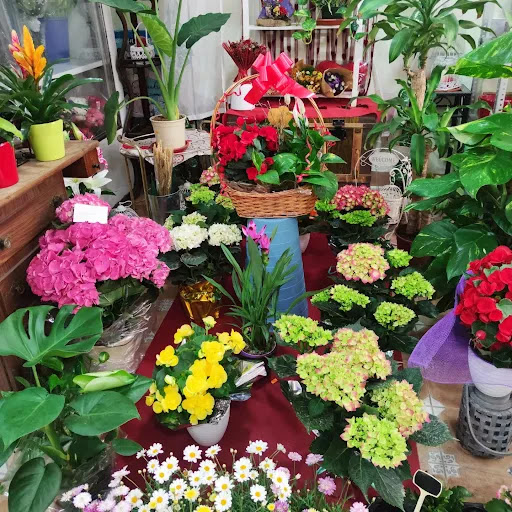 Floristería Las Orquídeas