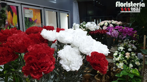 Floristería Toñi: Floristería en Almería