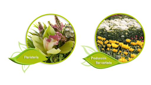 Floristeria Cuadrado