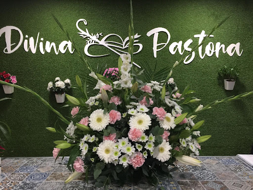 Floristería Divina Pastora
