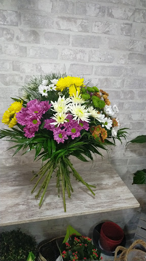 Cesarflor Floristería