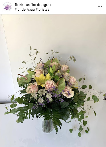 Flor de Agua Floristas