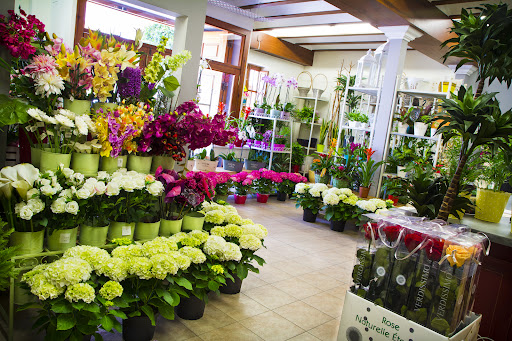 Floristeria El Palau