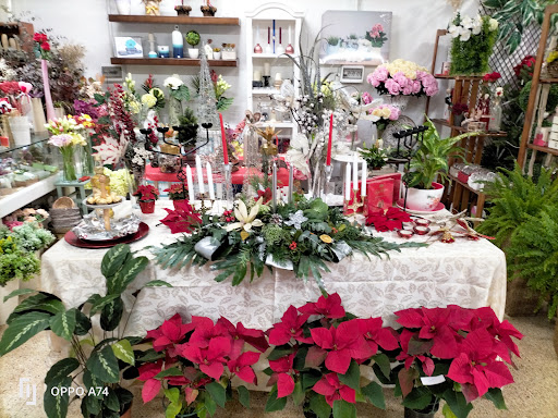 Flores Tere Paterna