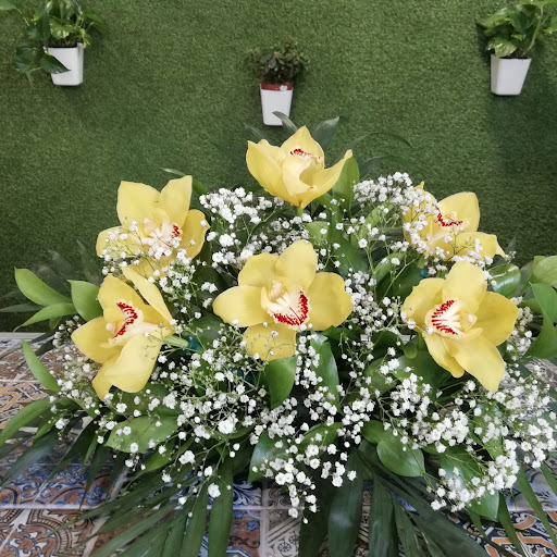 Floristería Divina Pastora