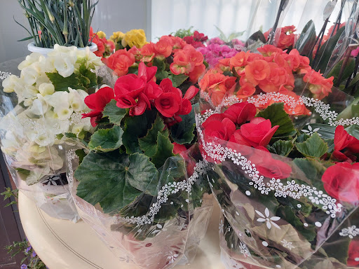 Floristeria Eden-art