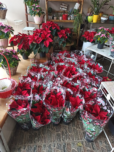 Floristería Ledicia