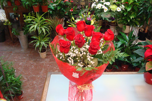 Flores Obdulia