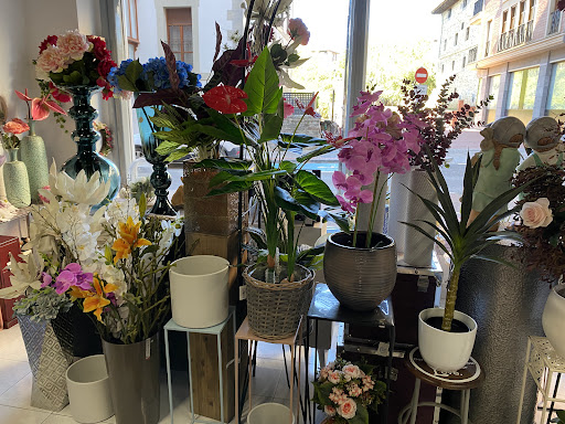 Floristería Inés Madrigal Amurrio