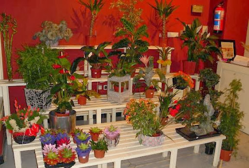 Gala Floristas Artesanos