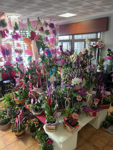Floristería Alecrin