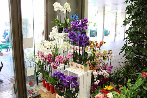 Floristería Ygnacio Guillén | Flores a Domicilio en Pamplona