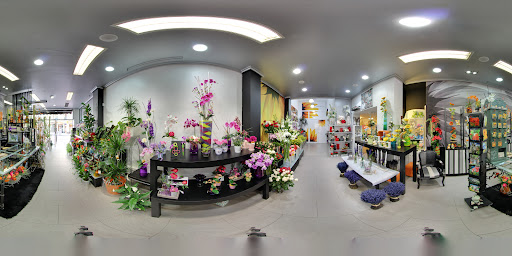 Floristería Arantza
