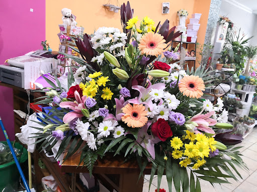 Floristería Irela