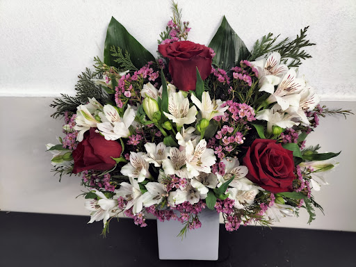 Floristería Raíces (La Buganvilla)