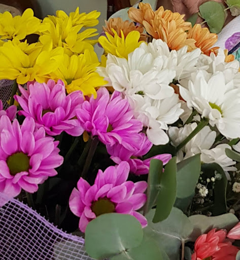 Floristería Meba