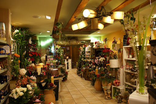 Floristería María Teresa