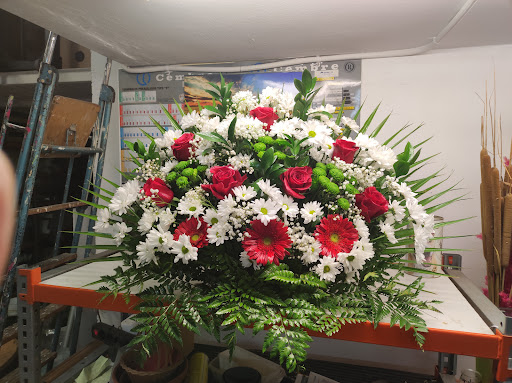 Floristería Santa Isabel 13