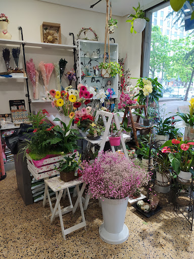 Floristería Iris