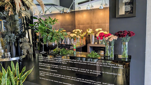 Goya Floristas