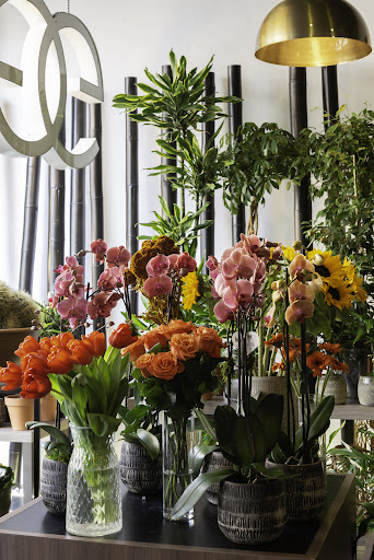 Goya Floristas