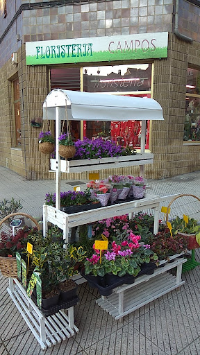 Campos Floristas