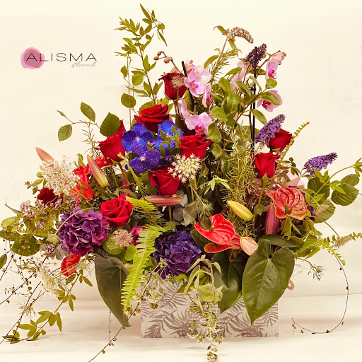 Alisma Floristas