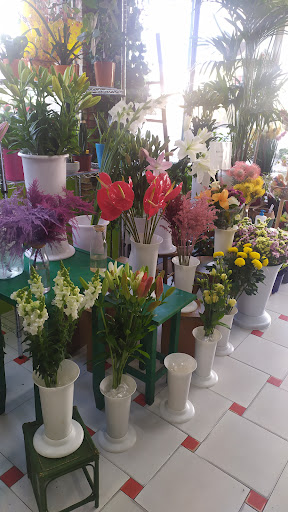 Flores Engracia C.B.