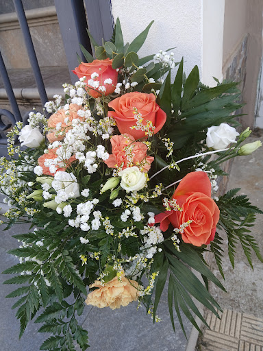 Flores Aida