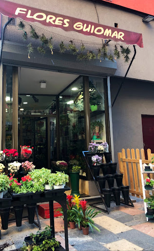 Flores Guiomar