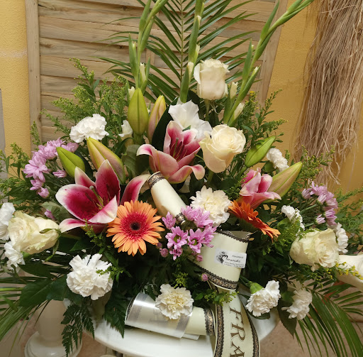 Miranda Floristeria