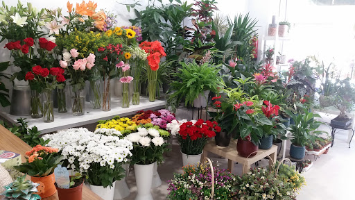La Floristería De Cristina