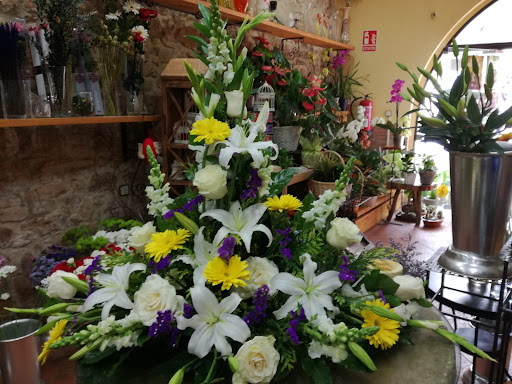 Floristeria Ca'flor