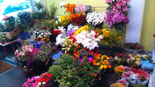 Naranco, Flores y Plantas