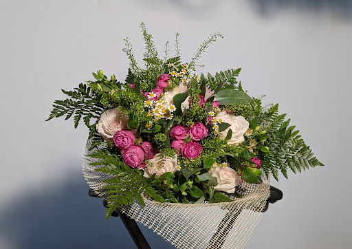 FLORISTERIA ROSA