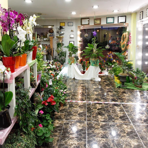 Floristeria Pilar