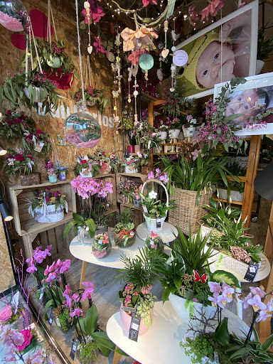 Floristería San Carlos
