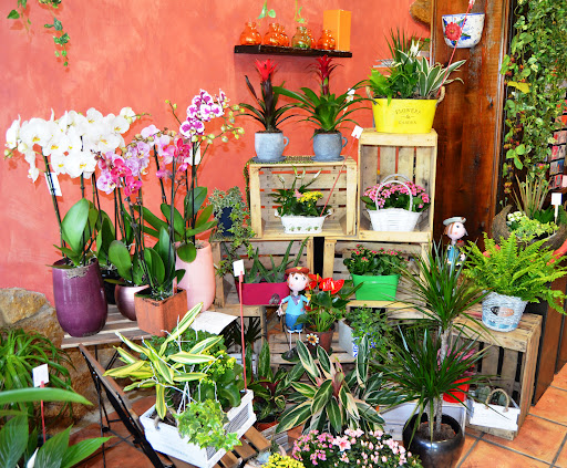 Las flores de Ana