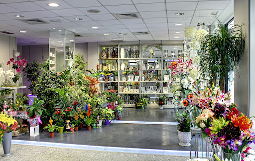 Floristería Arco Iris Mieres