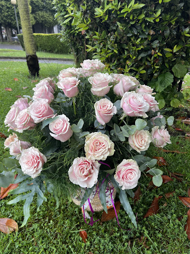 Floristería Begoña