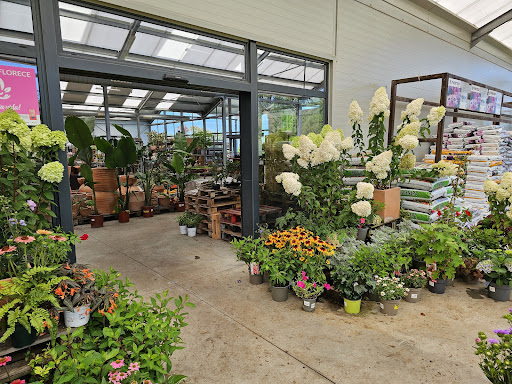 Hedera Centro De Jardineria
