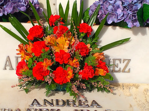 Floristería Begoña
