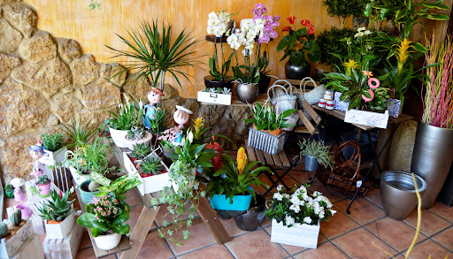 Las flores de Ana