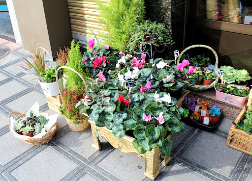 Joycar El Atelier de las flores