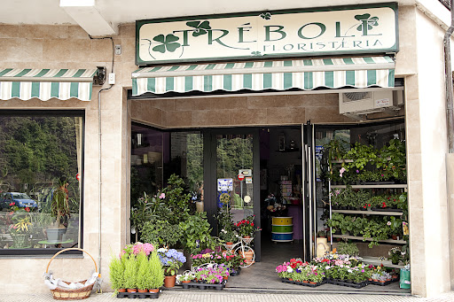 Floristería Trébole
